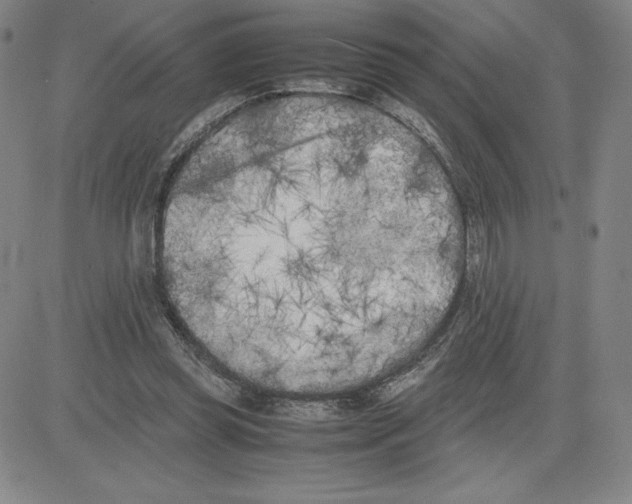 X0000080110349200701051335