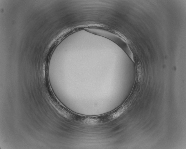 X0000080110350200701051335