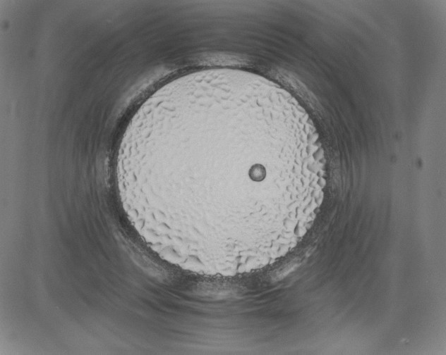 X0000080110351200701051335