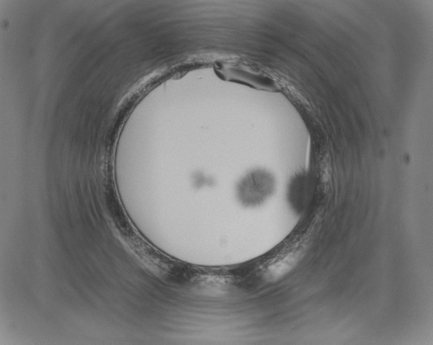 X0000080110352200701051335