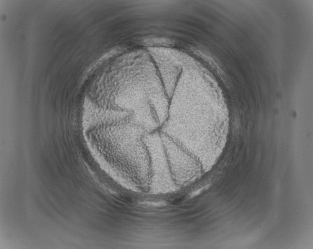 X0000080110353200701051335