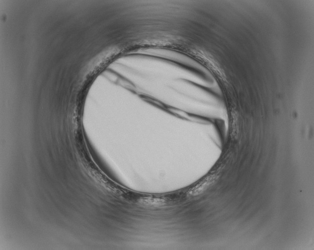 X0000080110354200701051335