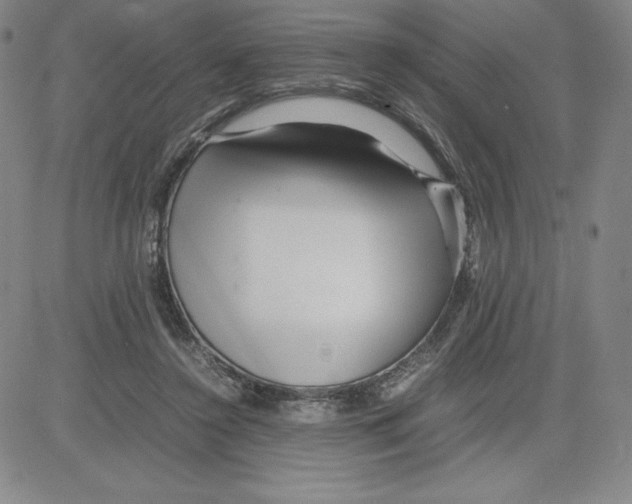 X0000080110356200701051335