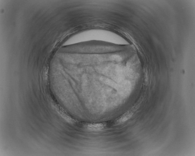 X0000080110357200701051335