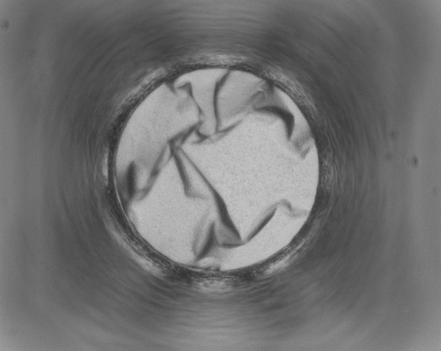 X0000080110358200701051335