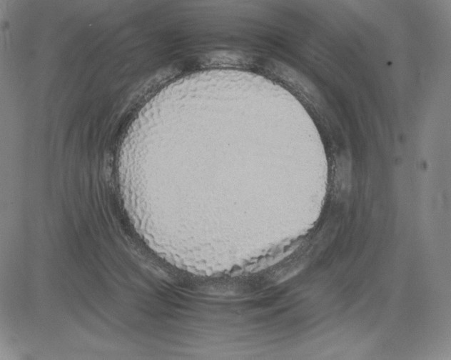 X0000080110361200701051335