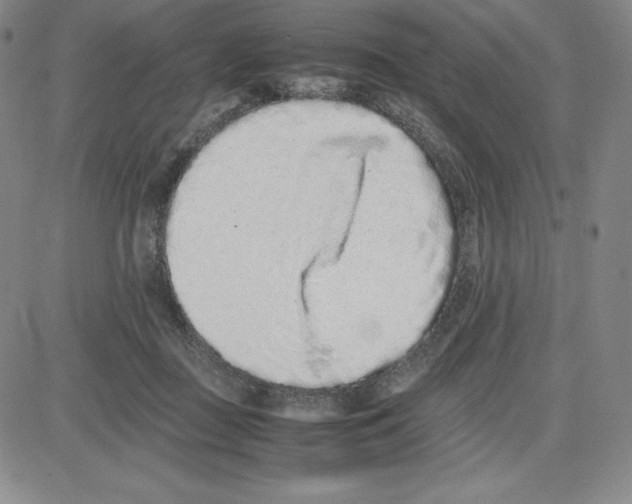 X0000080110363200701051335