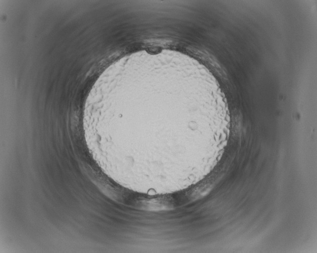 X0000080110365200701051335