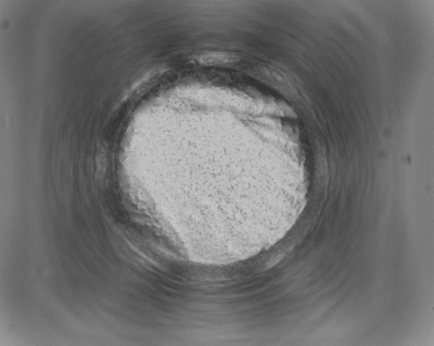 X0000080110367200701051335