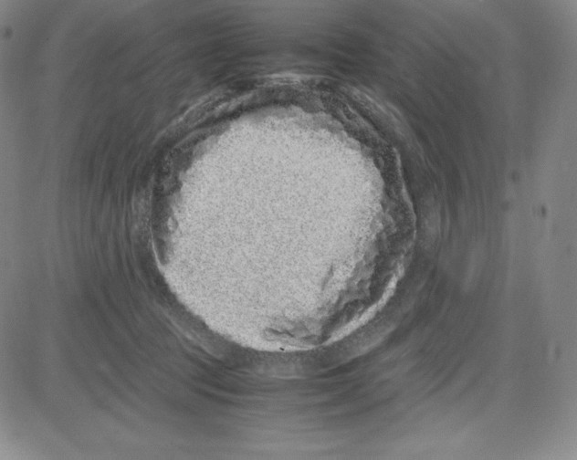 X0000080110369200701051335