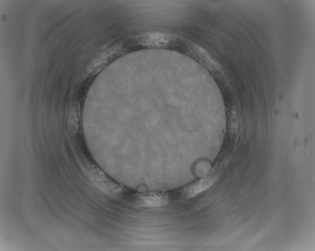 X0000080110370200701051335