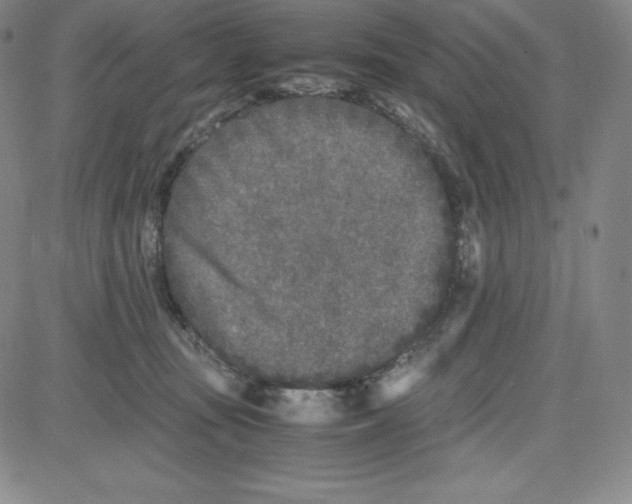 X0000080110371200701051335