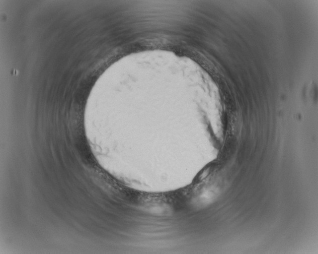 X0000080110372200701051335