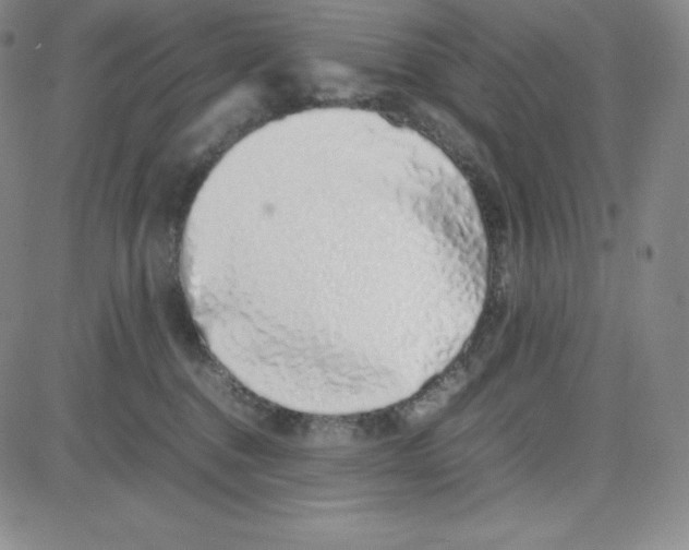 X0000080110376200701051335