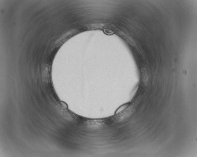 X0000080110378200701051335