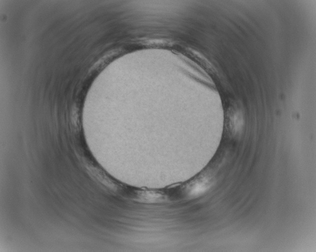 X0000080110380200701051335