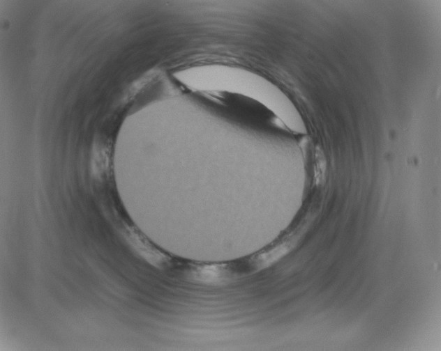 X0000080110382200701051336