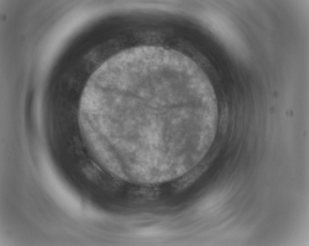 X0000080110383200701051336