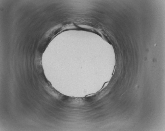 X0000080110384200701051336