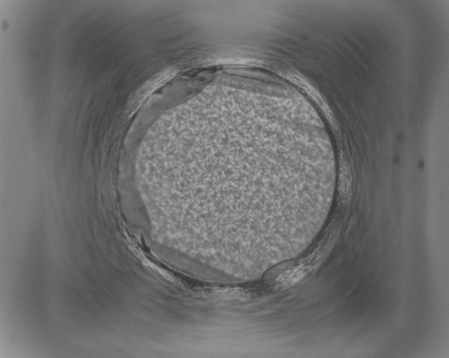 X0000080110385200701051335