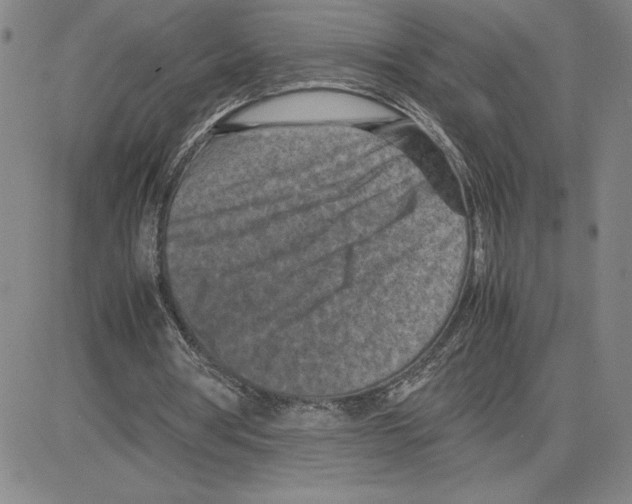 X0000080110386200701051335