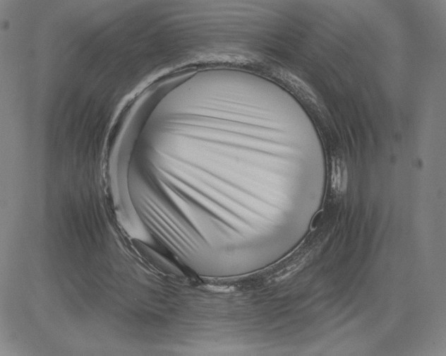 X0000080110388200701051335