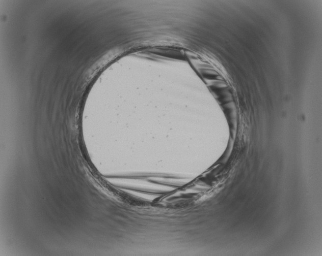 X0000080110389200701051335