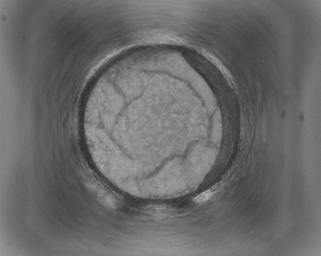 X0000080110391200701051335