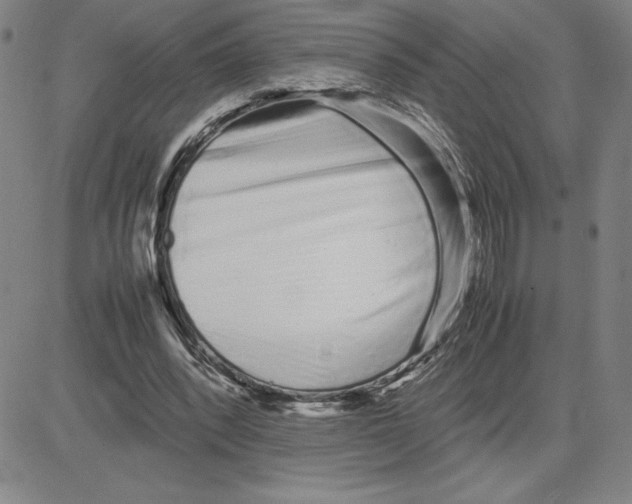 X0000080110392200701051335