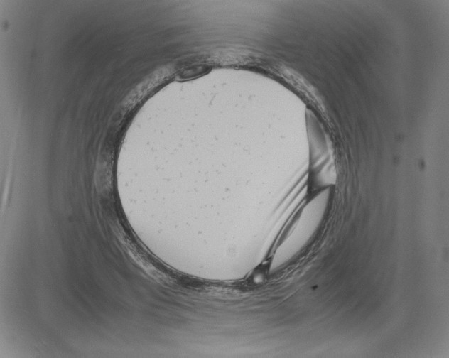 X0000080110393200701051335