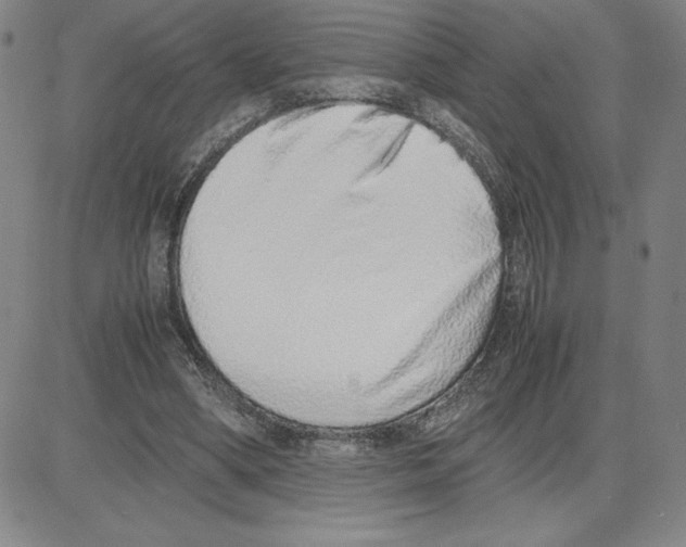 X0000080110394200701051335