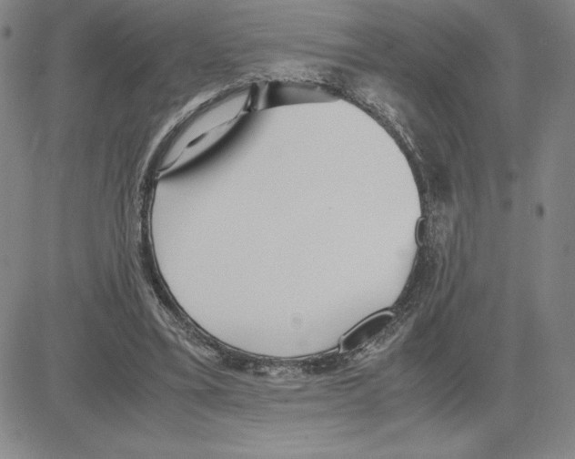 X0000080110395200701051335