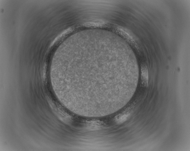 X0000080110396200701051335