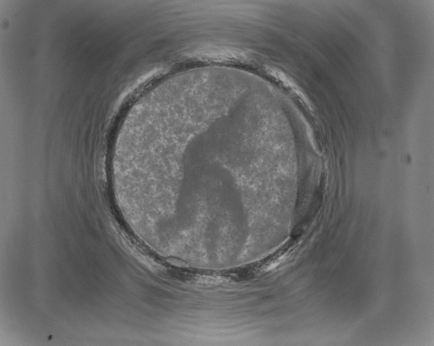 X0000080110399200701051335