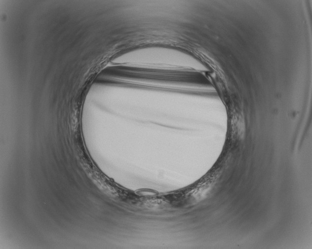 X0000080110401200701051335