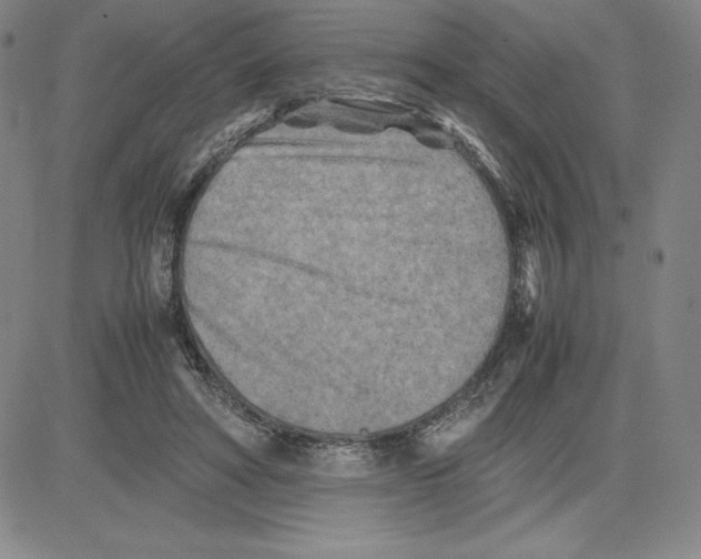 X0000080110402200701051334