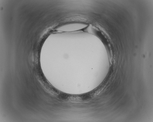 X0000080110403200701051334