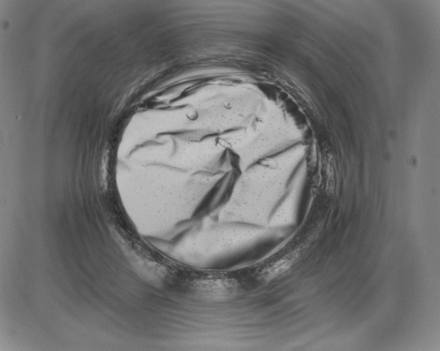 X0000080110404200701051334