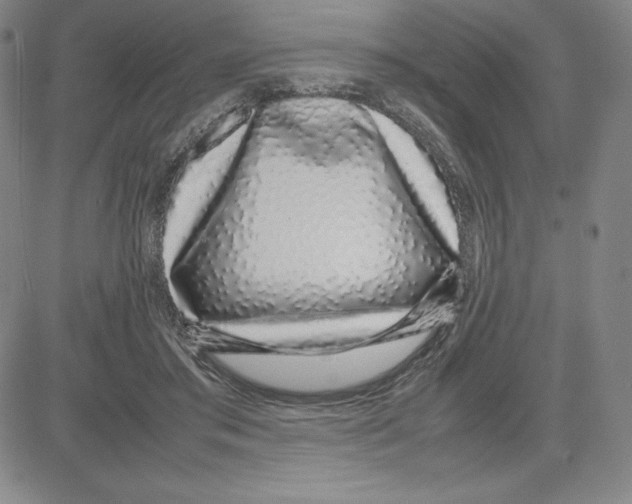 X0000080110405200701051334