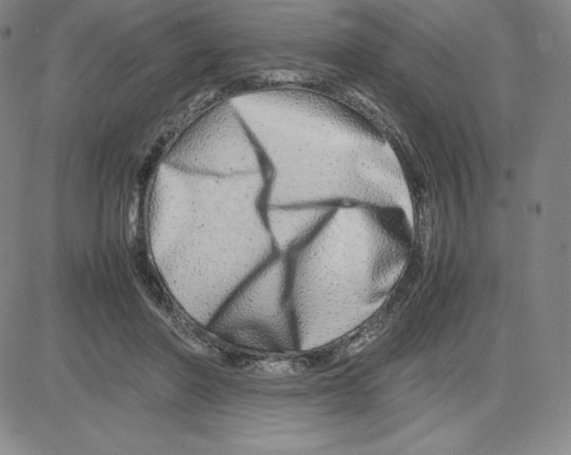 X0000080110406200701051334