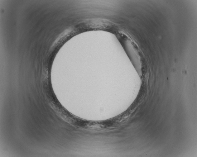 X0000080110407200701051334