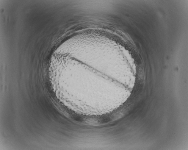 X0000080110409200701051334