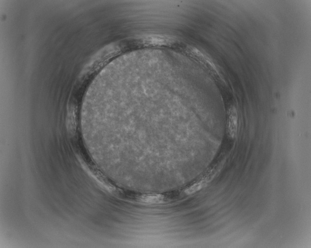 X0000080110410200701051334