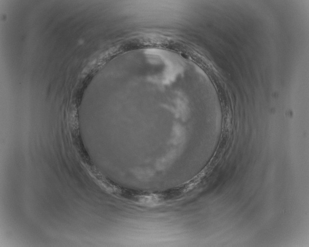 X0000080110411200701051334