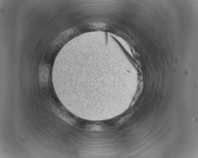 X0000080110412200701051334