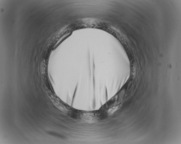 X0000080110413200701051334