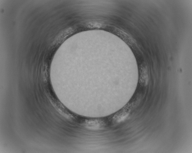 X0000080110414200701051334