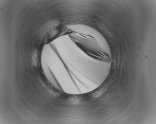 X0000080110416200701051334