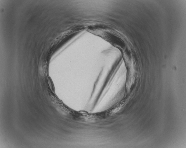 X0000080110417200701051334