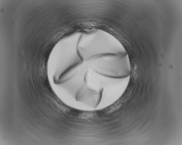 X0000080110418200701051334